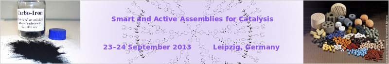 Minisymposium Smart and Active Assemblies for Catalysis